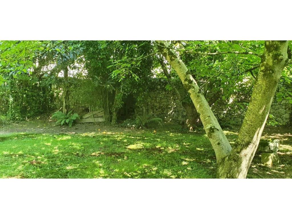 Jardín