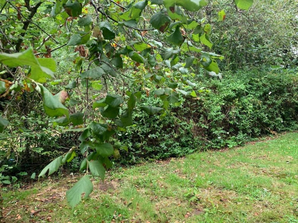 Jardín