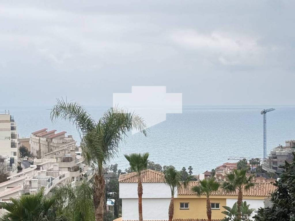 Vistas