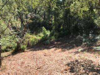 Jardín