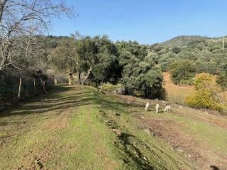 Vistas