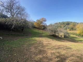 Jardín