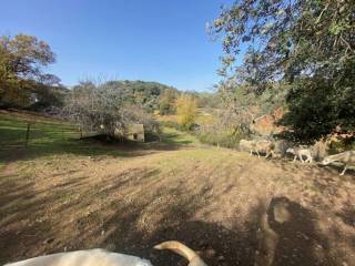 Jardín