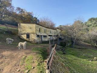Jardín