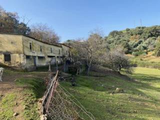 Jardín