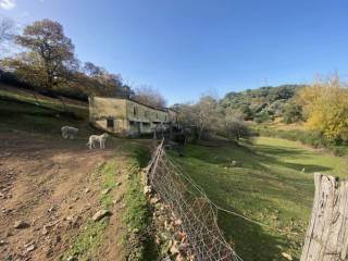 Jardín