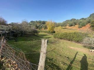 Jardín