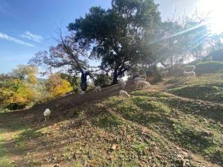 Jardín