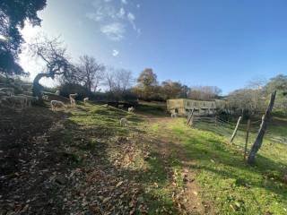 Jardín