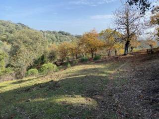 Jardín