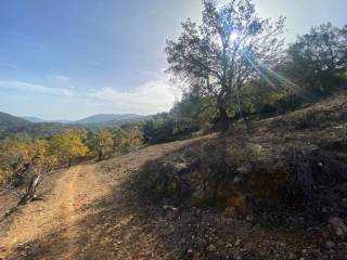 Vistas