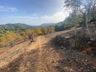 Vistas