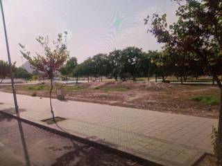Vistas
