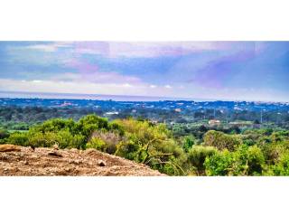 Vistas