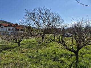 Jardín