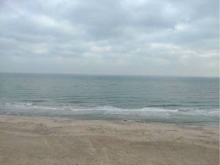 Vistas