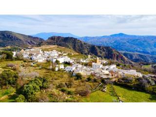 Vistas
