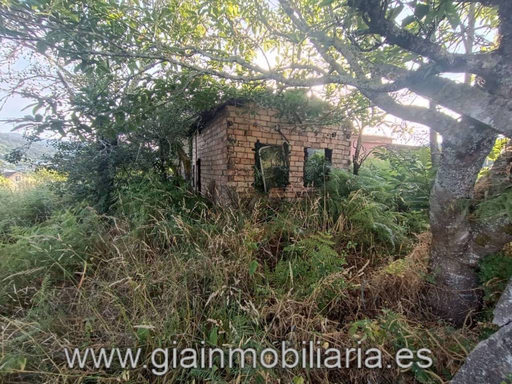 Jardín