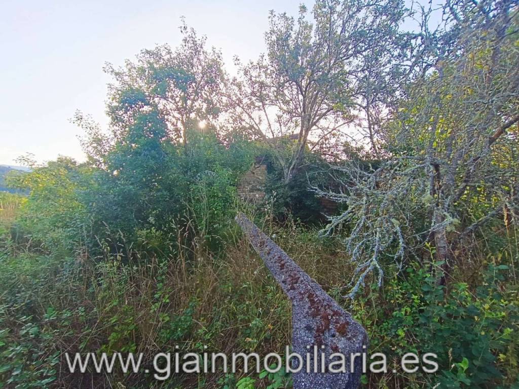 Jardín