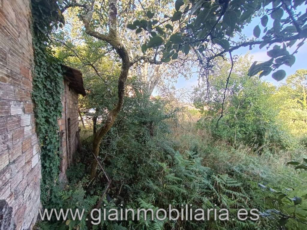 Jardín