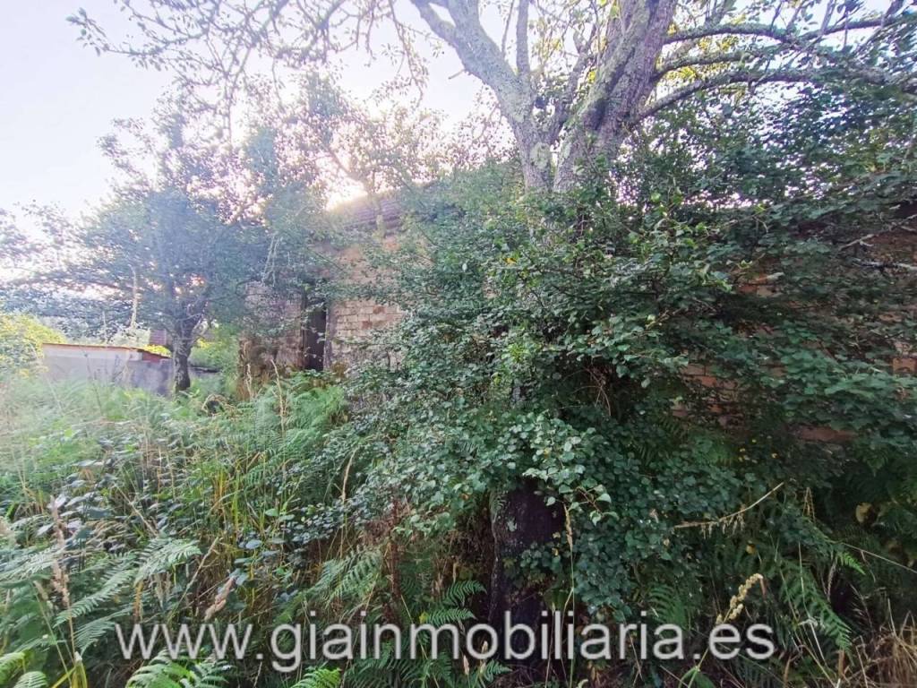 Jardín