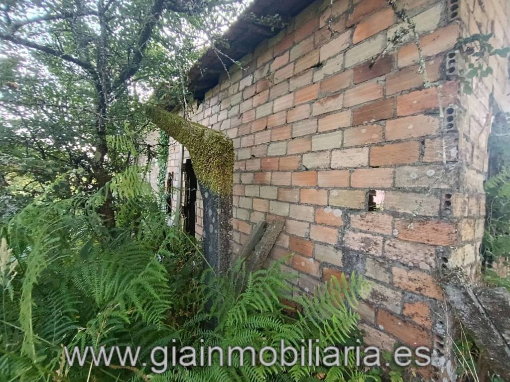 Jardín