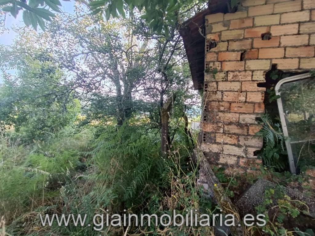 Jardín