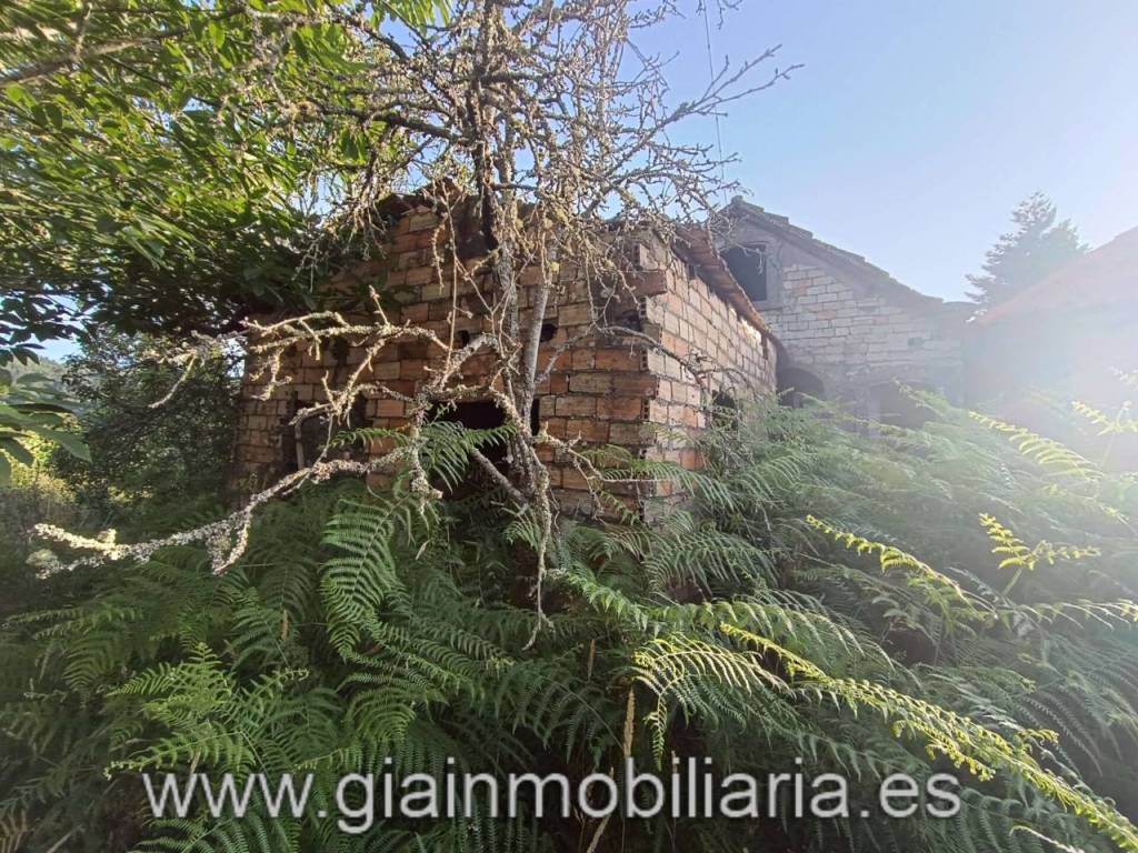 Jardín