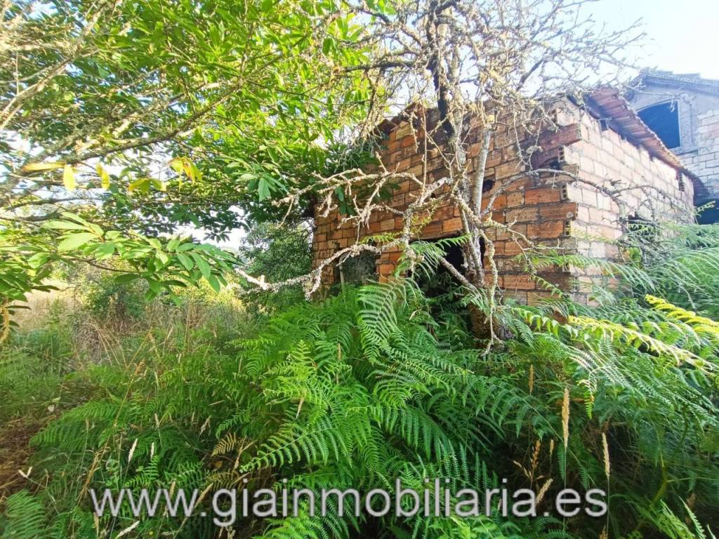 Jardín