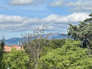 Vistas