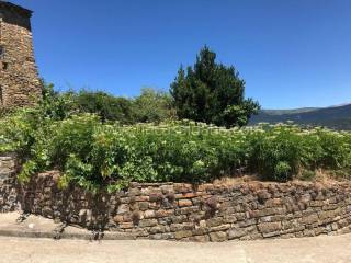 Jardín