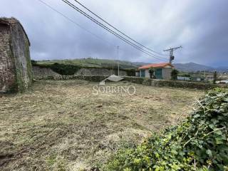 Jardín