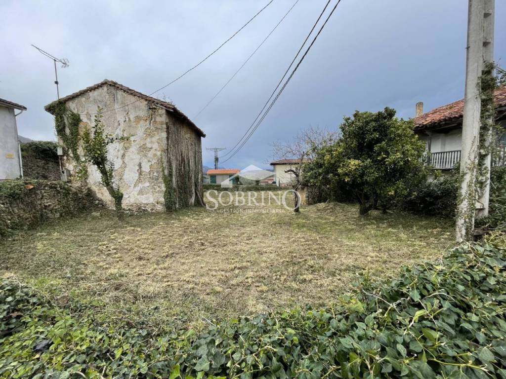 Jardín