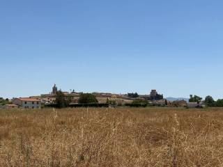 Vistas
