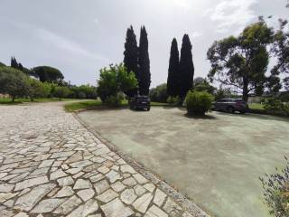 Jardín