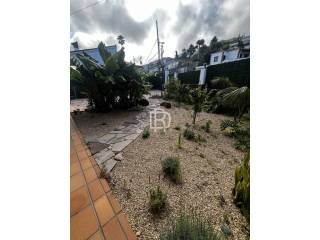 Jardín