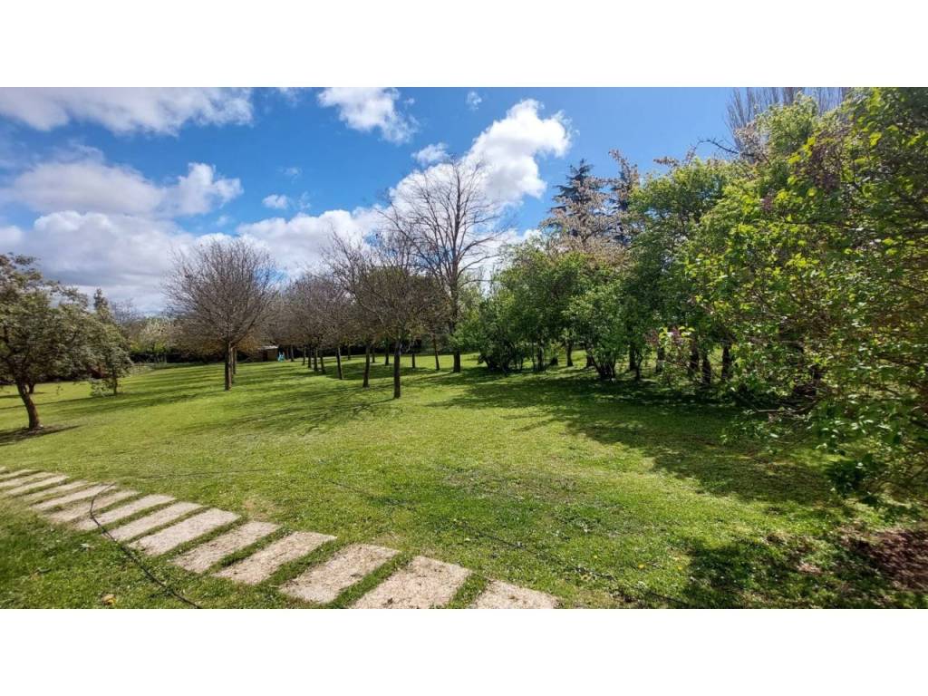 Jardín