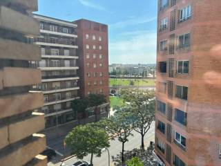 Vistas