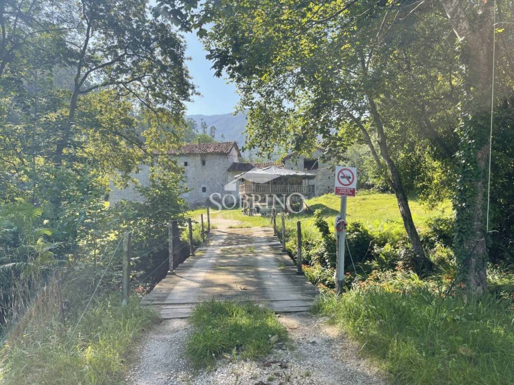 Jardín