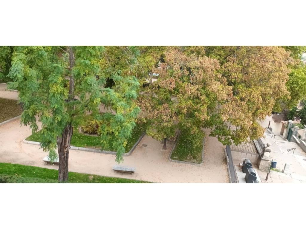 Jardín