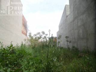 Vistas