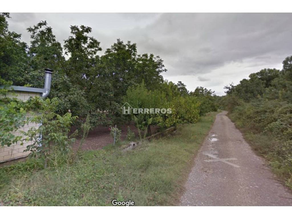 Jardín