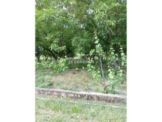 Jardín