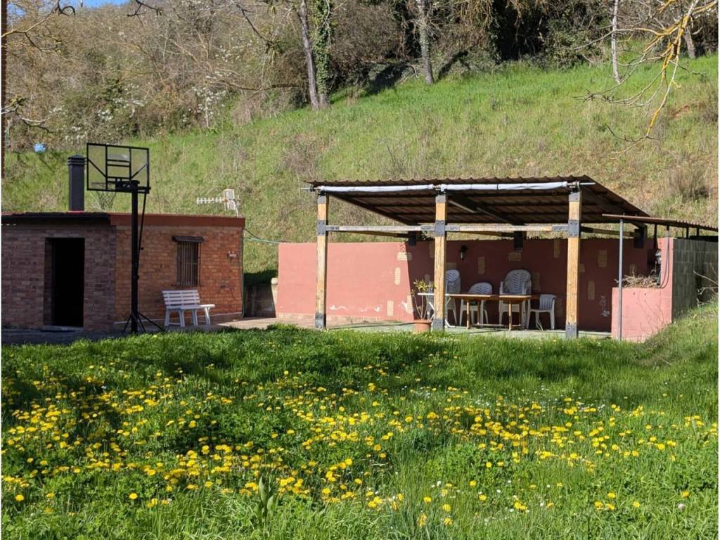 Jardín