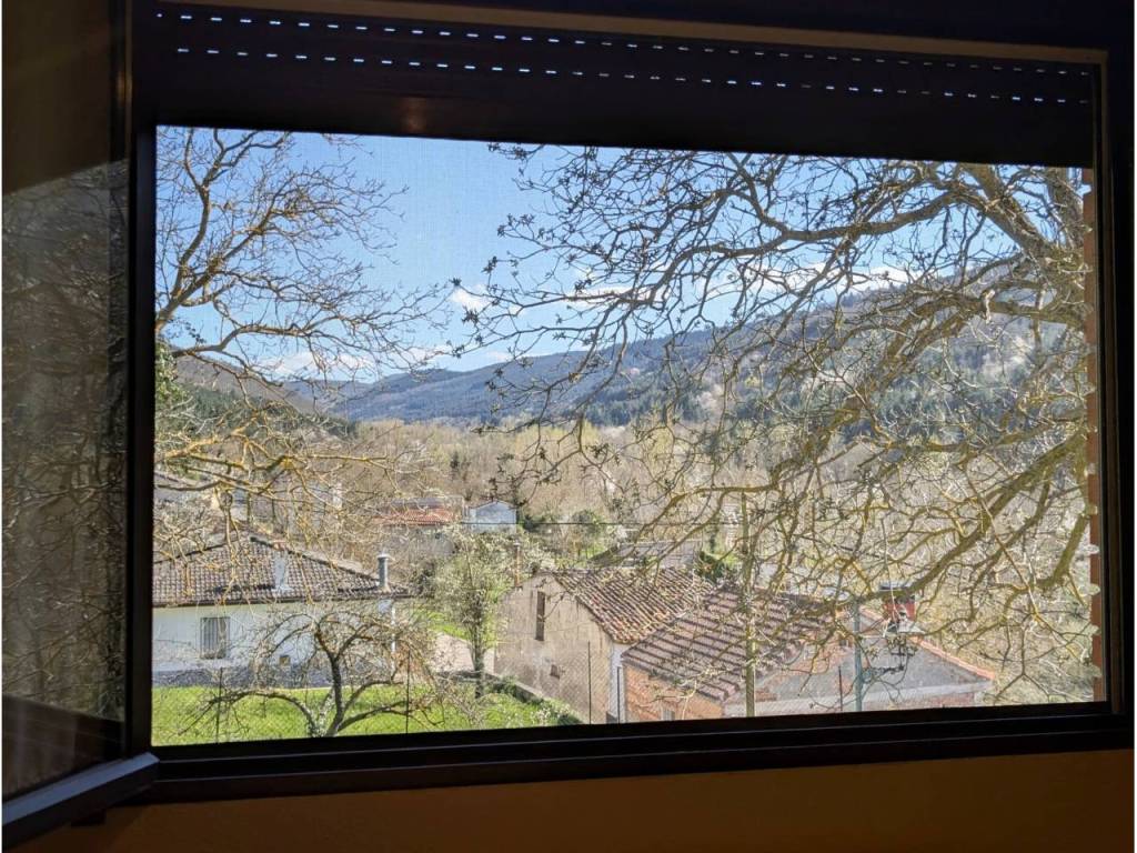 Vistas