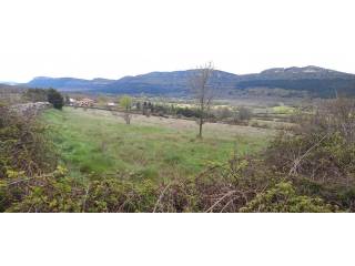 Vistas