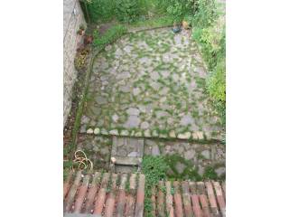 Jardín