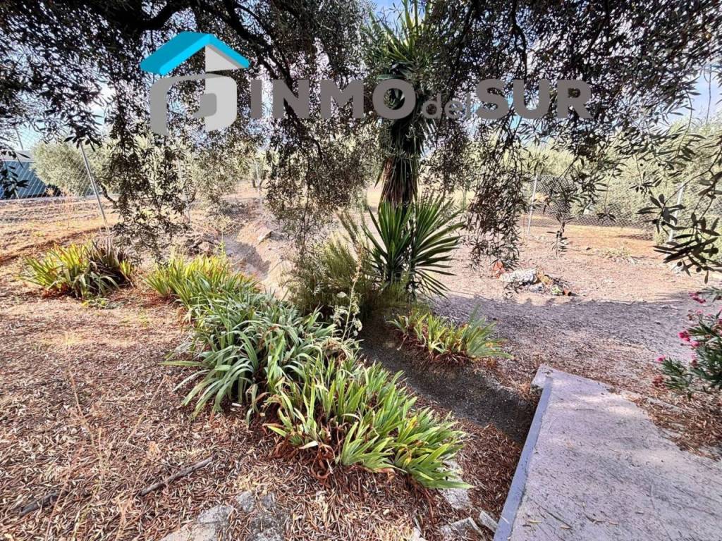 Jardín