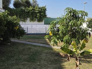 Jardín