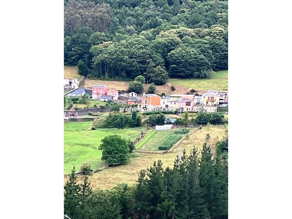 Vistas